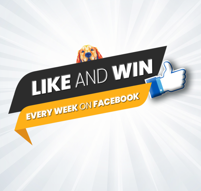 Like and win DS No CTA