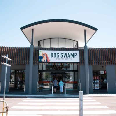 Dog Swamp Exterior